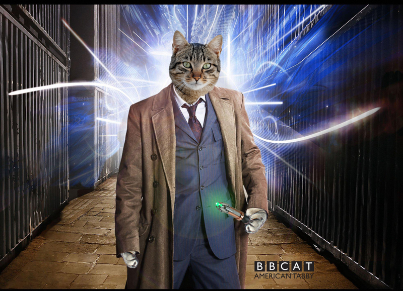 Illustration for article titled Who the next Doctor really should be